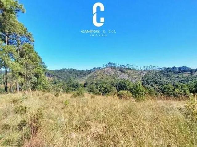 Área para empreendimentos, 40.620 m², Região do Toriba, Campos do Jordão SP