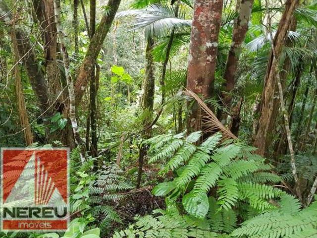 ÁREA PARA FORMAR FRENTE PARA A REPRESA JUQUITIBA/SP