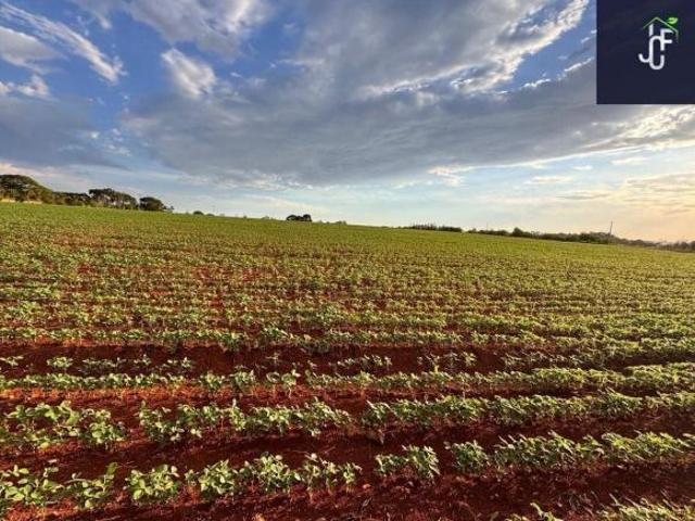 ÁREA PARA LOTEAMENTO EM CESÁRIO LANGE – 132.500 m²