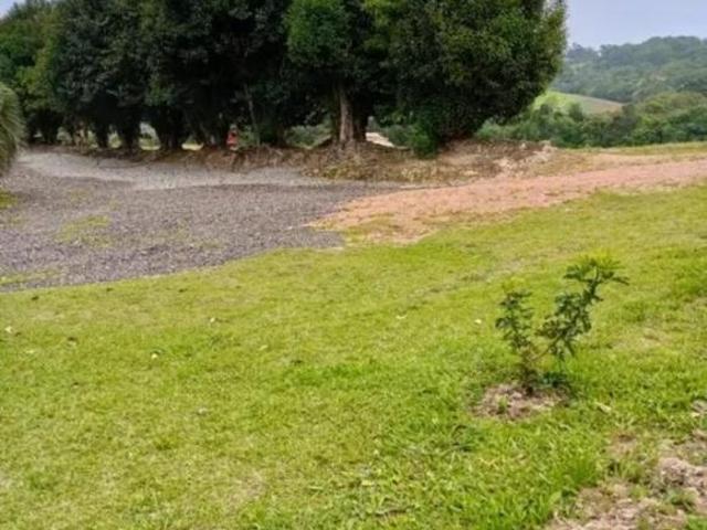 Área para plantio, bem localizada, asfalto na frente próximo a tudo em São José dos Pinhais PR