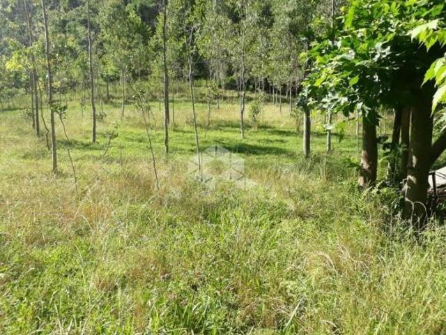 Área próxima ao centro da cidade