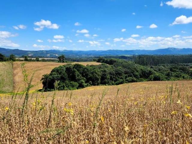 Área Prudentópolis