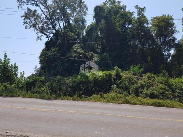 Área Rural na Linha Leopoldina 13,8 Hectares com Vinhedo Produtivo