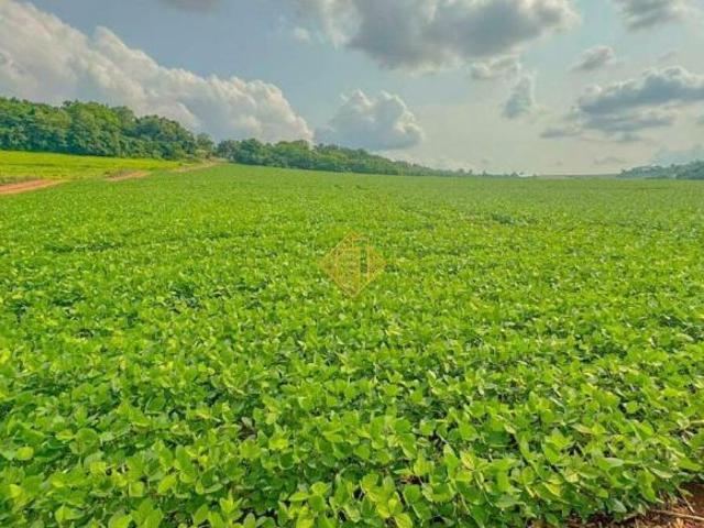 Área rural à venda com potencial para piscicultura em São Pedro do Iguaçu PR