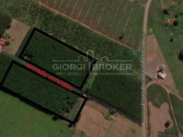 Área Rural à Venda em Turiúba SP: Propriedade com 1200 Pés de Seringueira, Renda Média de 0,5% do Va