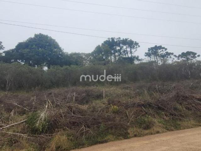 Área Rural à Venda – Fazenda Vila do Barão | São José dos Pinhais/PR