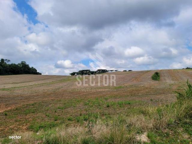 Terreno para Venda • 18.000 m² • Lapa PR