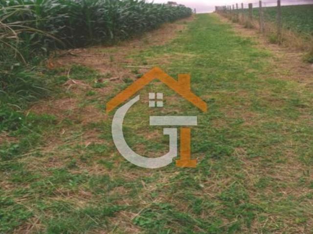 Área Rural Chácara Produtiva com Casa — Ribeirão Vermelho, Quitandinha