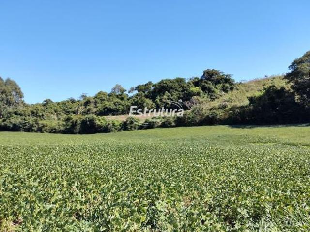 Área rural com 60 hectares