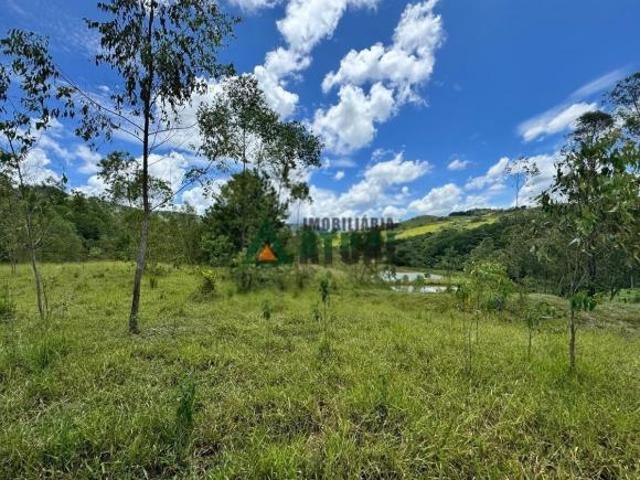 ÁREA RURAL COM 2,4 ALQUEIRES A VENDA EM TAMARANA PR