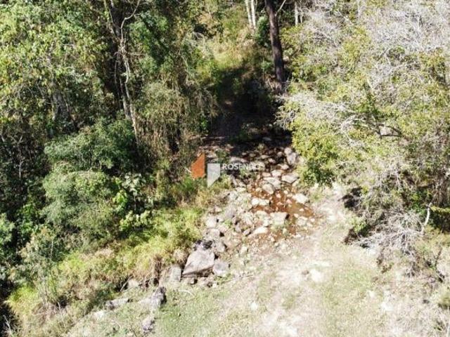 Área Rural com Quase 9 Alqueires Rica em Água