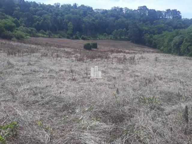 AREA RURAL EM ARATIBA