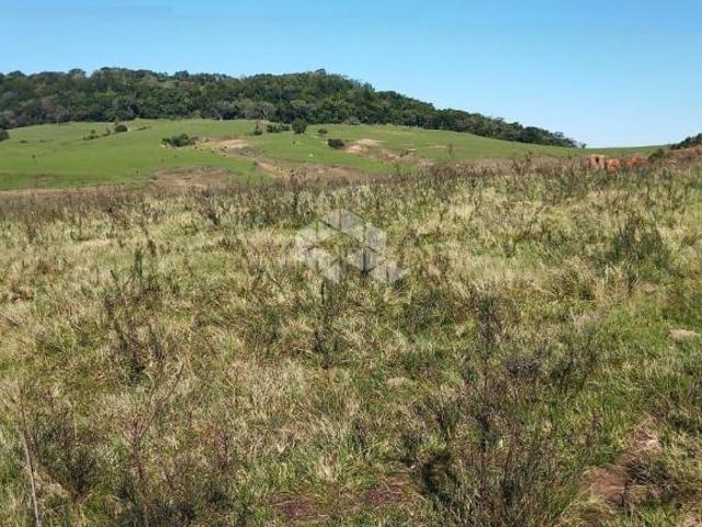 ÁREA RURAL EM DILERMANDO DE AGUIAR