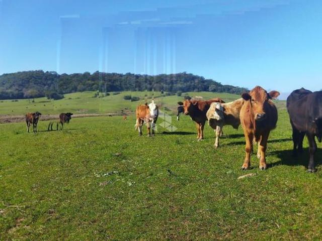 ÁREA RURAL EM DILERMANDO DE AGUIAR
