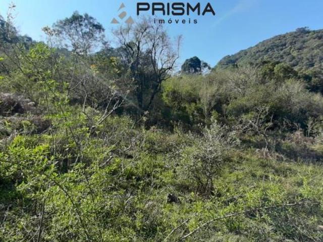 área rural em Itaara Lote D 54,07m de frente x 56,58m fundos, 642,62m compri