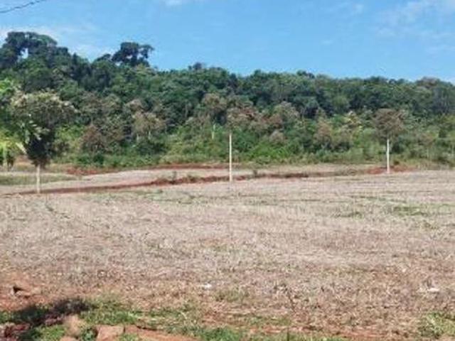 Área rural em Perola D&apos Oeste/PR com 7,76 alqueires / 18,78 hectares