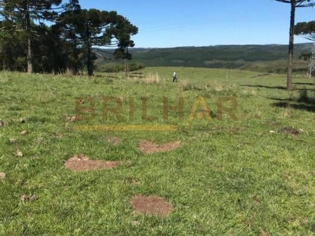 Área Rural Ilheus Criuva