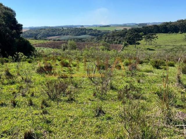 Área Rural para comprar em Vila Oliva