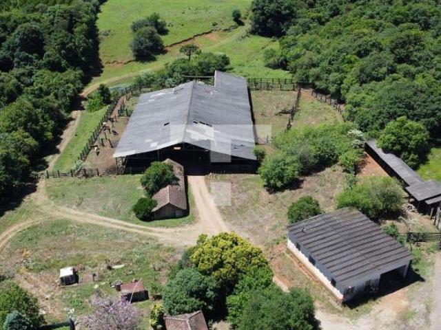 Área rural para criação de gado