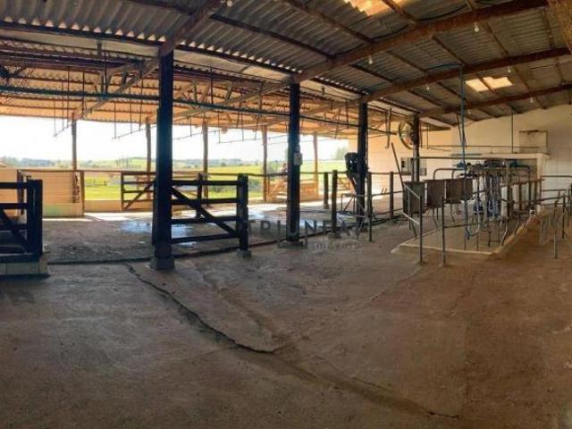 Área rural para produção de leite, 78000 m² por R$ 3.500.000 Jacutinga Guareí/SP
