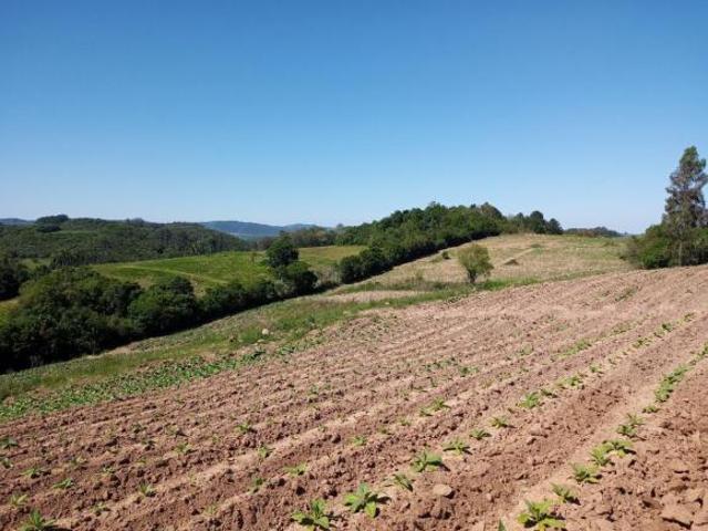 Área Rural para Venda em Mariana Pimentel, Linha Dr. Flores