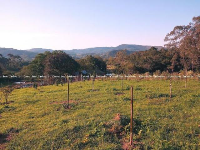 Área Rural para Venda em Mariana Pimentel, Potreiro Grande
