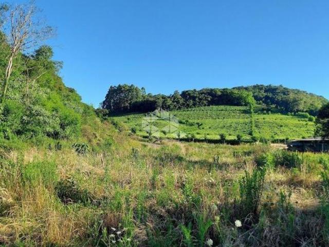 Área rural 15 da Graciema Vale dos Vinhedos