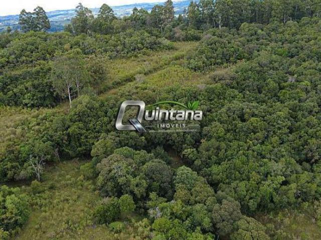 Área Rural 35ha à Venda Canguçu R$350mil