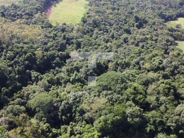 ÁREA RURAL