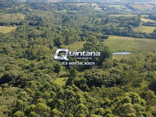 Área Rural 6ha na Cascata | Próx. BR | Energia Trifásica
