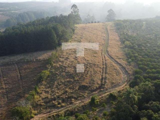 ÁREA RURAL