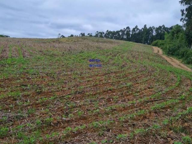 Área total: 5 alqueires e 21 litros. Área de lavoura: 4 alqueires e 20 litros. Aproveitamento de 1