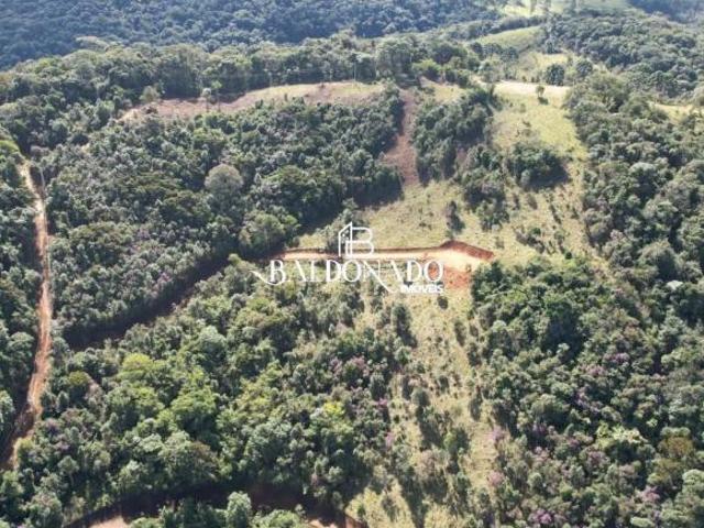 Área 21.000m² em Toledo MG Ideal para Chalés nas Montanhas