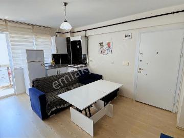 Körfez Mah , Atakum, Samsun ili, Karadeniz Bölgesi