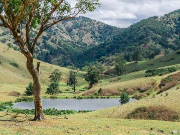 Booti Booti, Crawford River