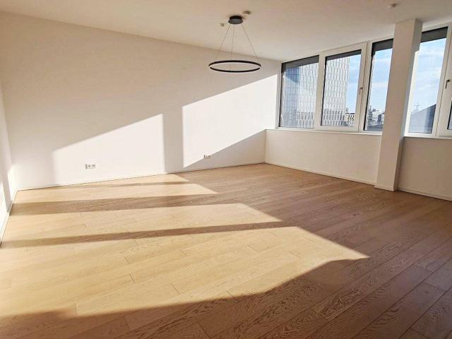 ARGENTINIERSTRASSE, klimatisiertes 82 m2 Dachgeschoß, 2 Zimmer, Wohnküche, Wannenbad, Parketten, Hauptbahnhof Nähe