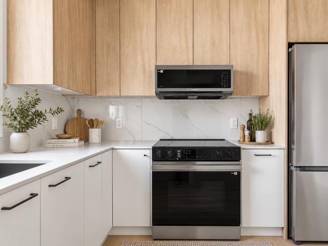 Aria Now Pre Leasing! ARIA 1 Floorplan B4 1 Bedroom Apartment for Rent