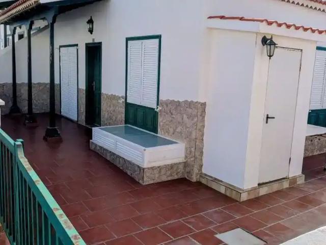 Arico