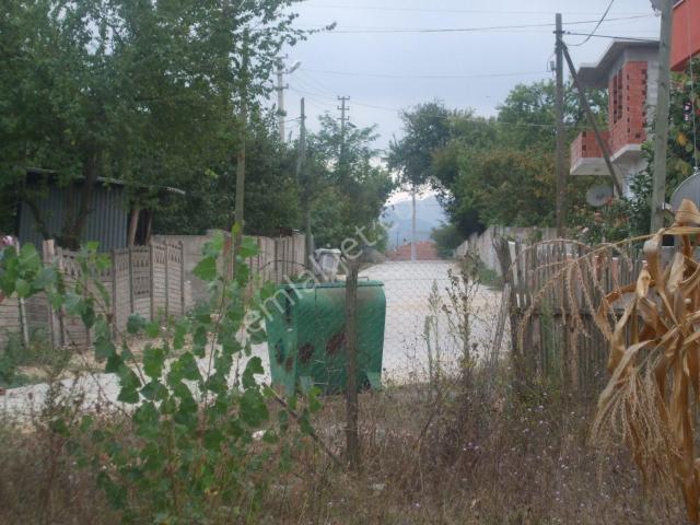 Arifiye Kiralık 3+1 Düz Giriş Daire