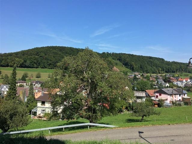 ARISDORF CHARMANTES EINFAMILIENHAUS 5 ZIMMER