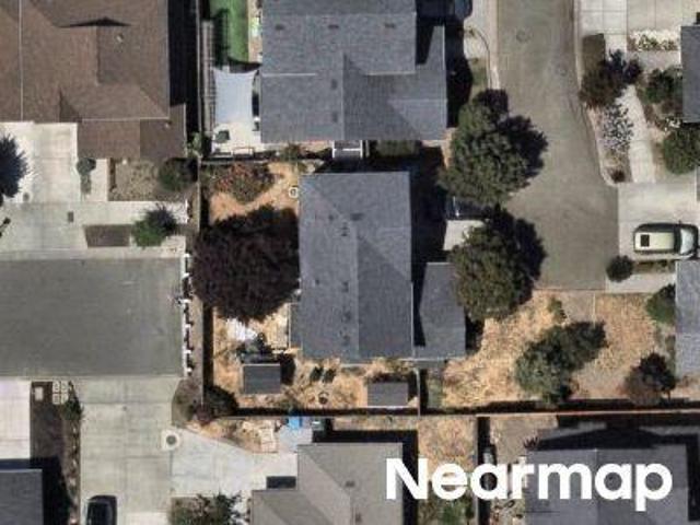 Arista Ln