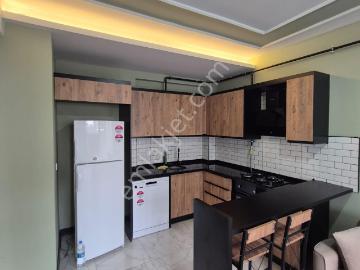 Çarkıpare'de 1+1 Eşyalı Doğalgazlı Memur Kiracılı Satılık Daire