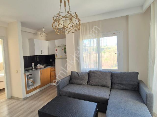Çarkıpare'de 1+1 Full Eşyalı Stad Yakını Geniş Oturumlu Kiralık