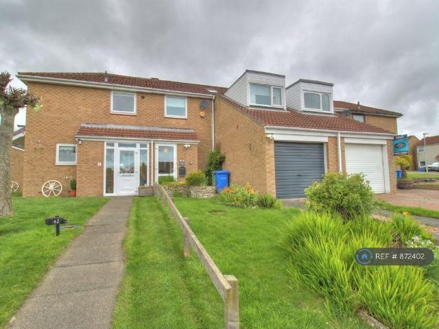 Arkle Court, Alnwick, NE66 3 bed terraced house to rent £1,100 pcm £254 pw