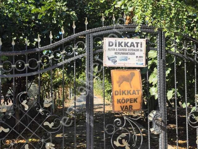 Şarköyde Kiralık 2+1 Ferah, Kullanışlı Müstakil Daire