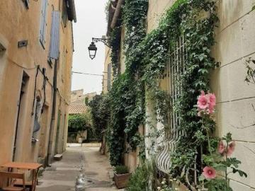 Arles Studio Sympa, calme, dans rue piétonne fleurie