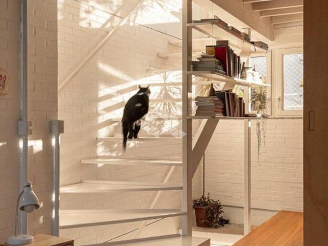Arquitetura autoral e personalidade no coração da Cidade Baixa
