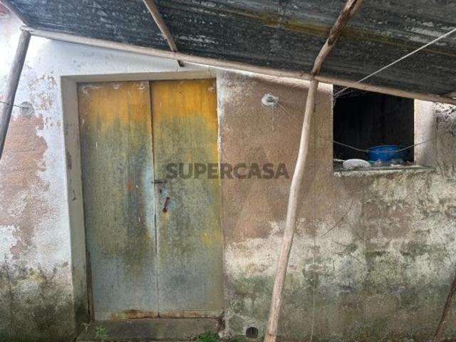 Arrecadação em terreno murado com árvores de fruto