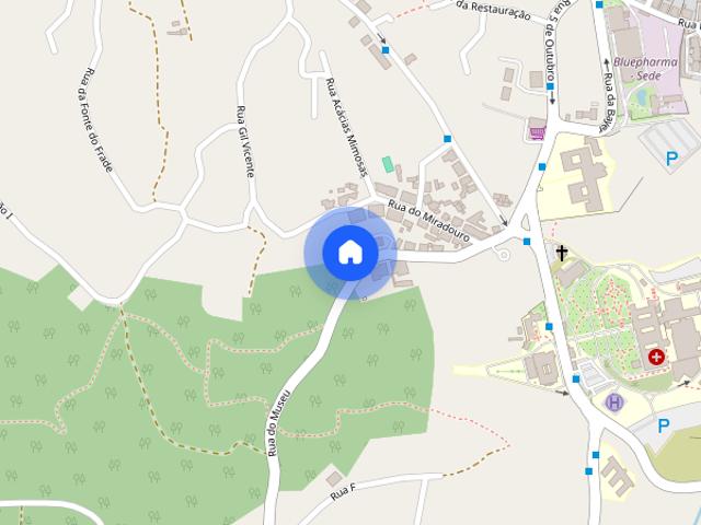 Arrenda se T1 com garagem para 3 carros e terraço em S. Martinho do Bi