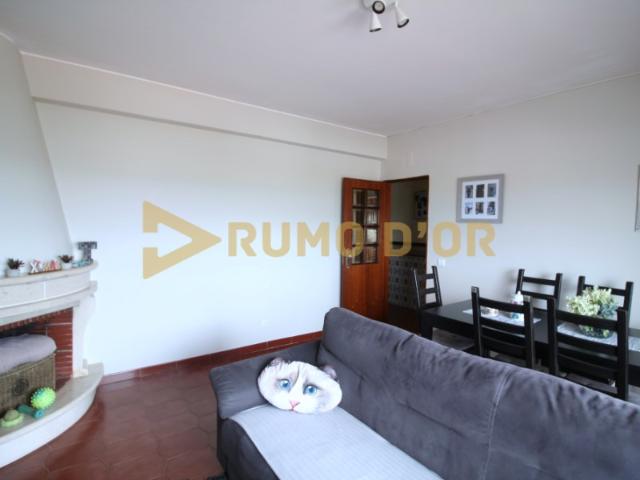 Arrendamos apartamento